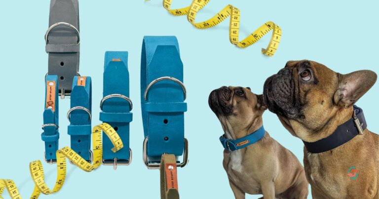 Größentabelle und Messanleitung für das verstellbare Hundehalsband Fettleder Basic