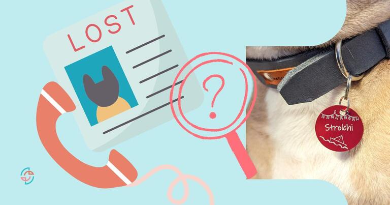 Suchplakate und personalisierte Hundemarken sorgen für ein schnelles Auffinden deines Hundes.