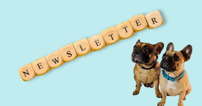 Jeden Monat verlosen wir ein Hundehalsband im Newsletter von stef stuff Hundezubehör.