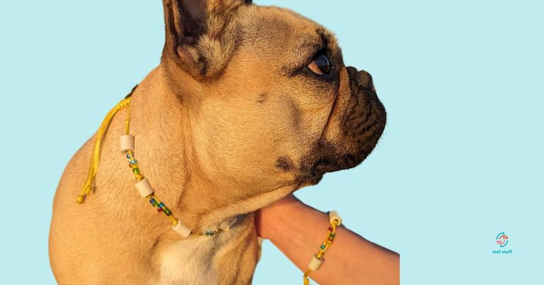 Zeckenhalsband für den Hund mit Keramik Perlen.